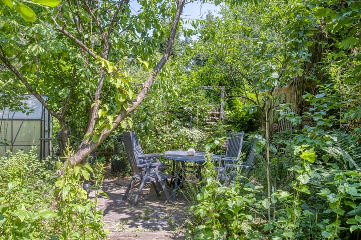 Foto 9 van Geranium 84