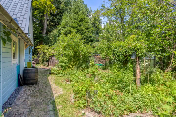 Foto 8 van Geranium 84