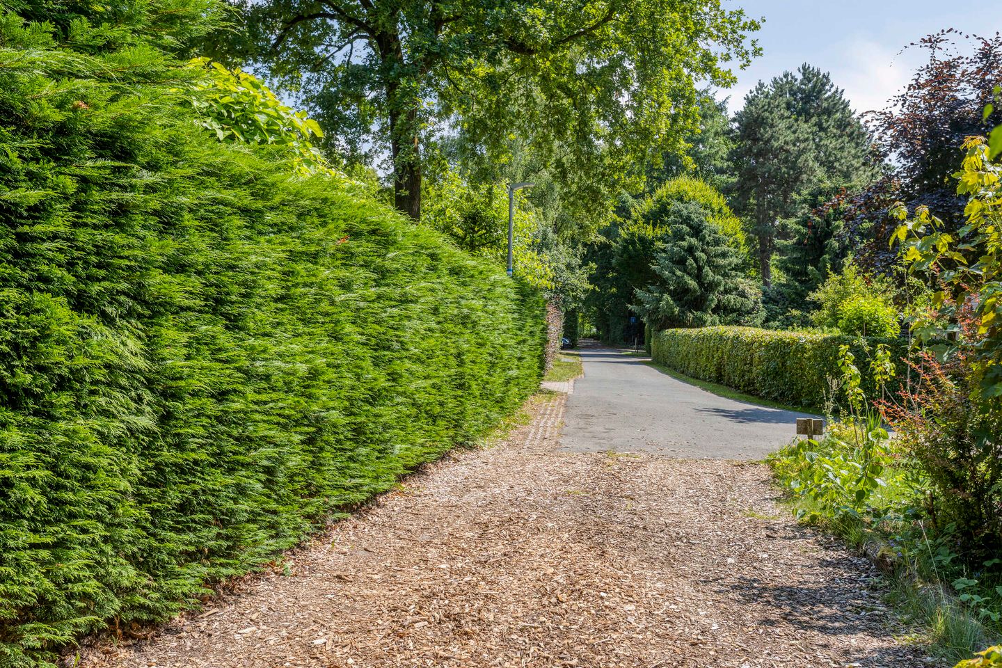 Foto 35 van Geranium 84