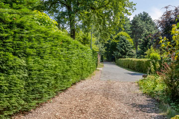 Foto 35 van Geranium 84