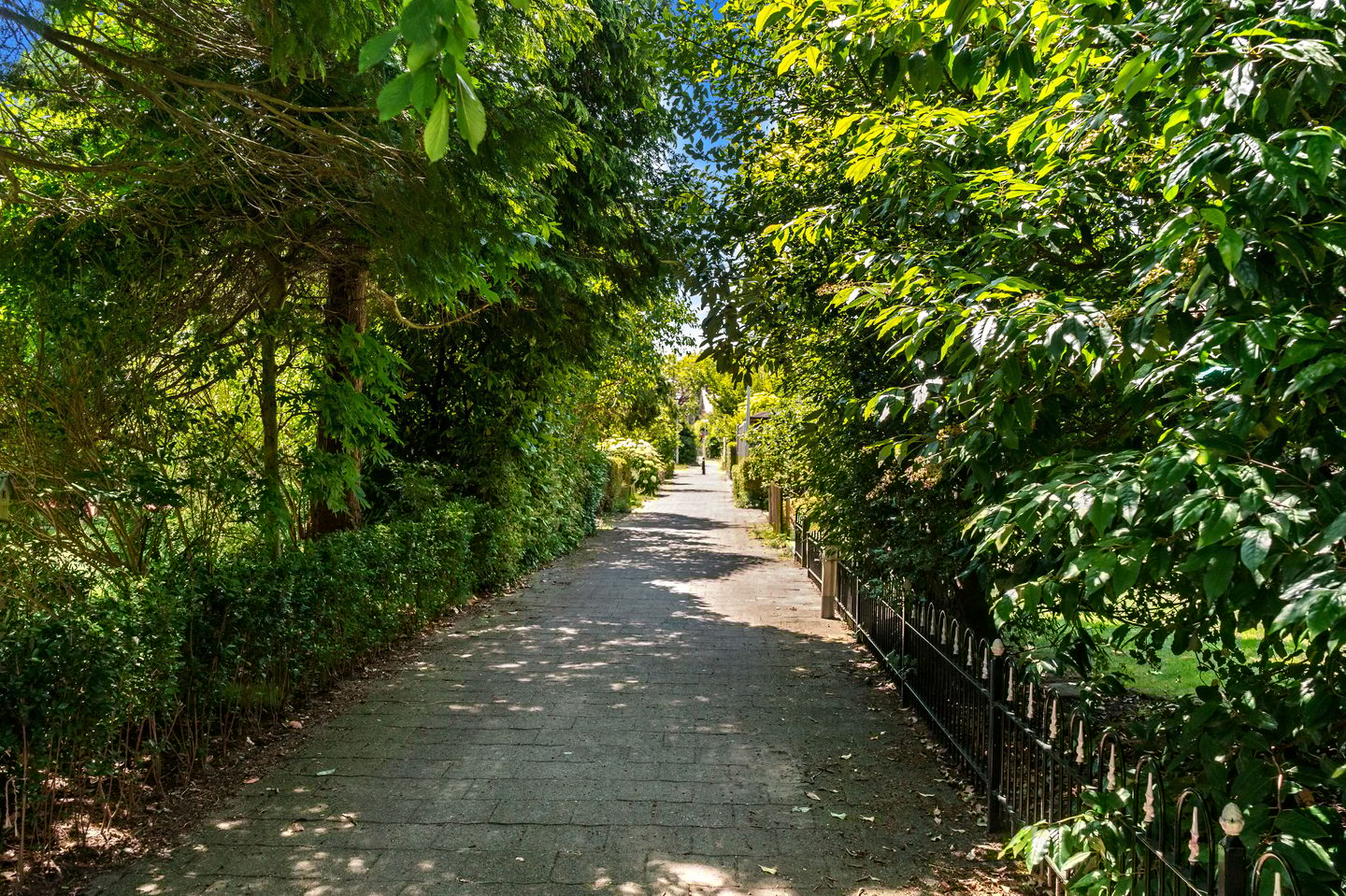 Foto 49 van Prinses Margrietlaan 6