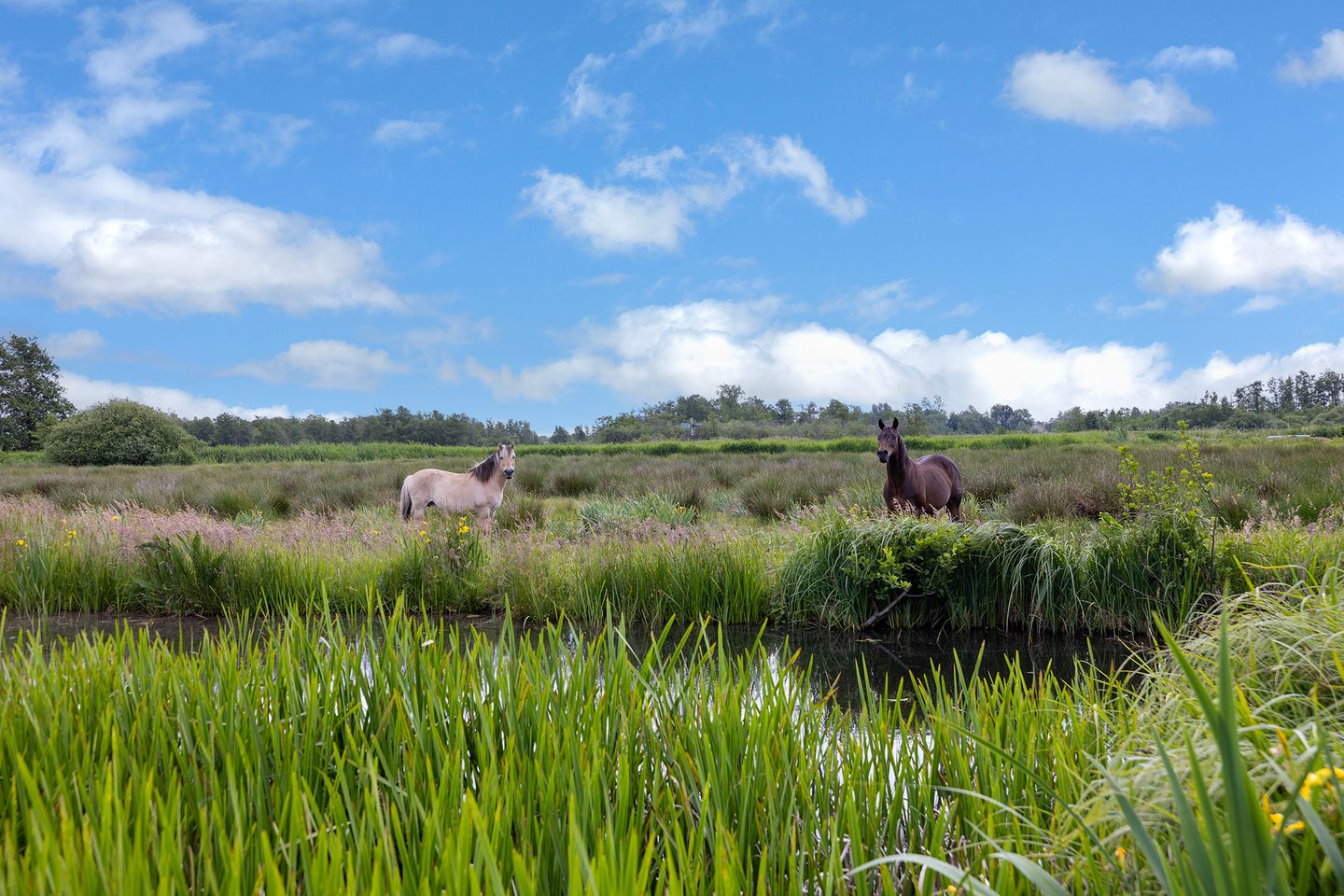 Photo 89 of Beulakerweg 25