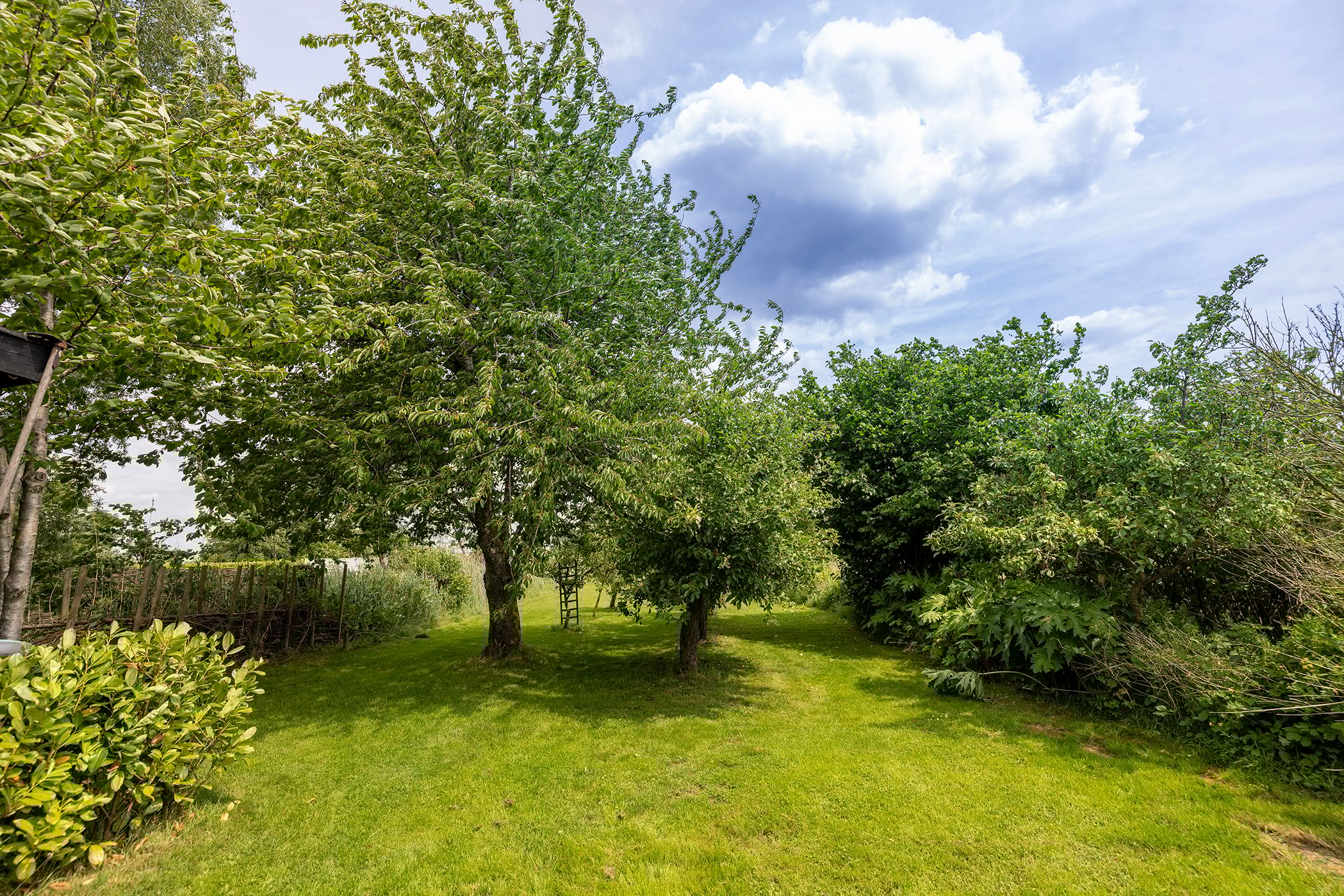 Photo 90 of Beulakerweg 25