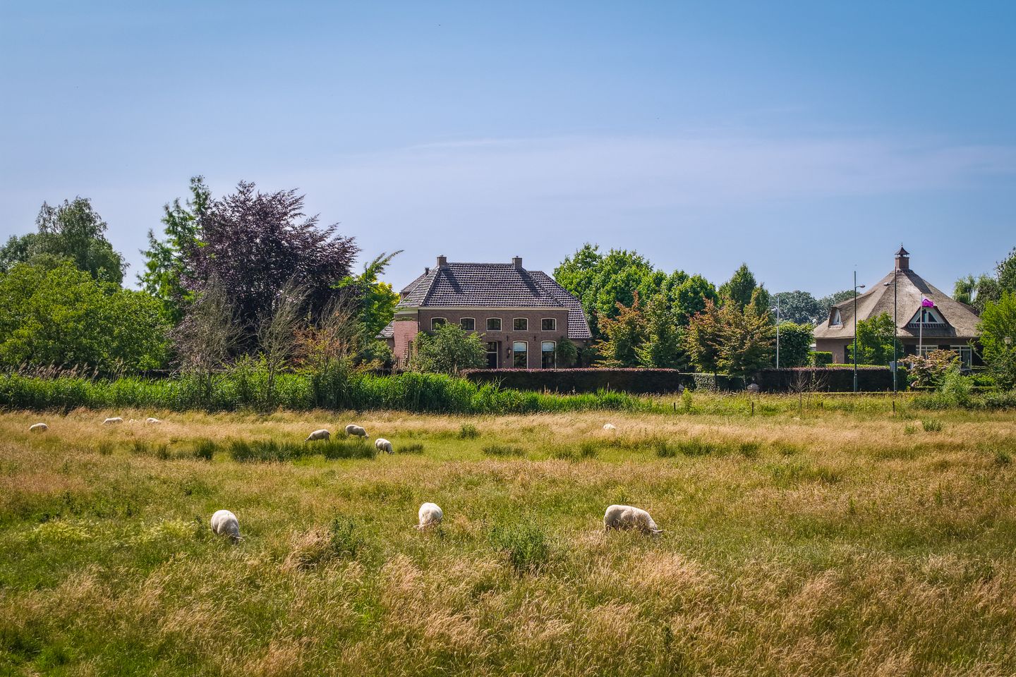 Foto 5 van Provincialeweg 28