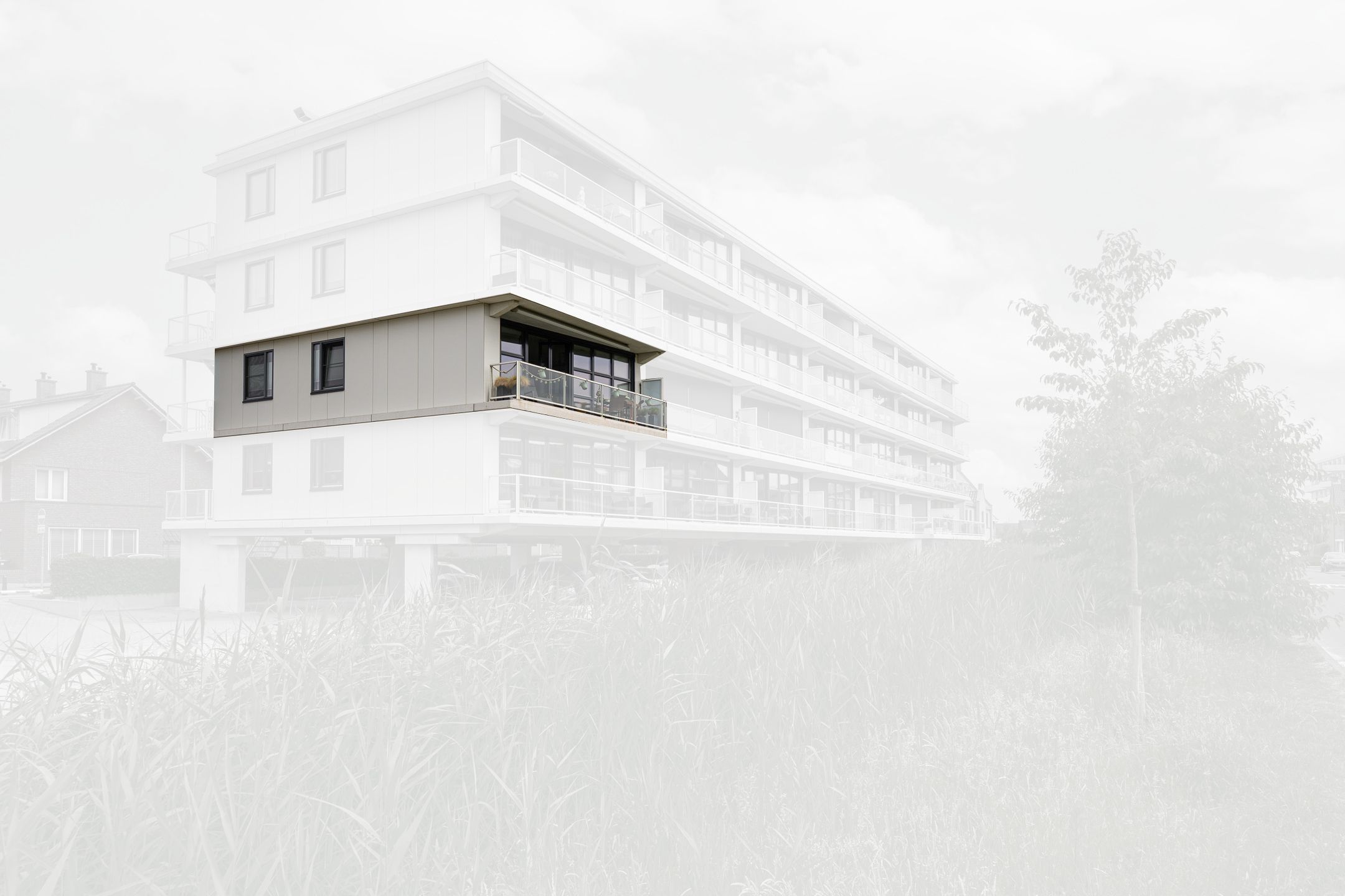 Foto 30 van Strigastraat 27