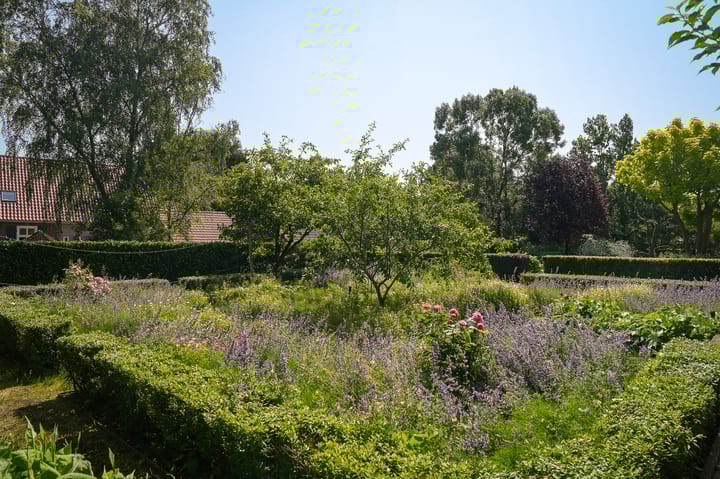 Foto 53 van Provincialeweg 28