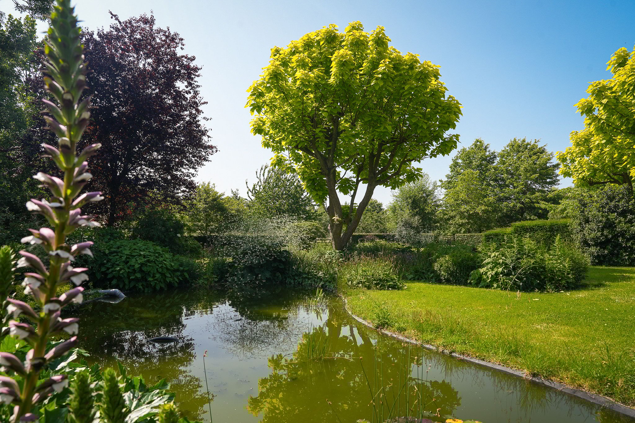 Foto 54 van Provincialeweg 28