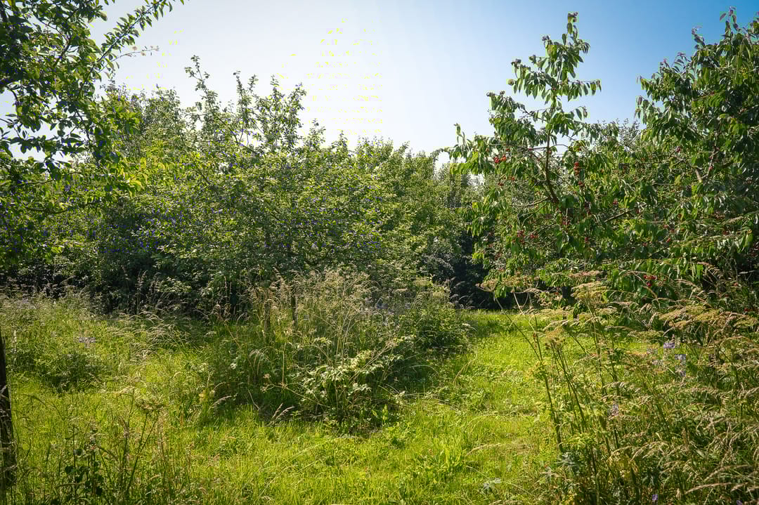 Foto 61 van Provincialeweg 28