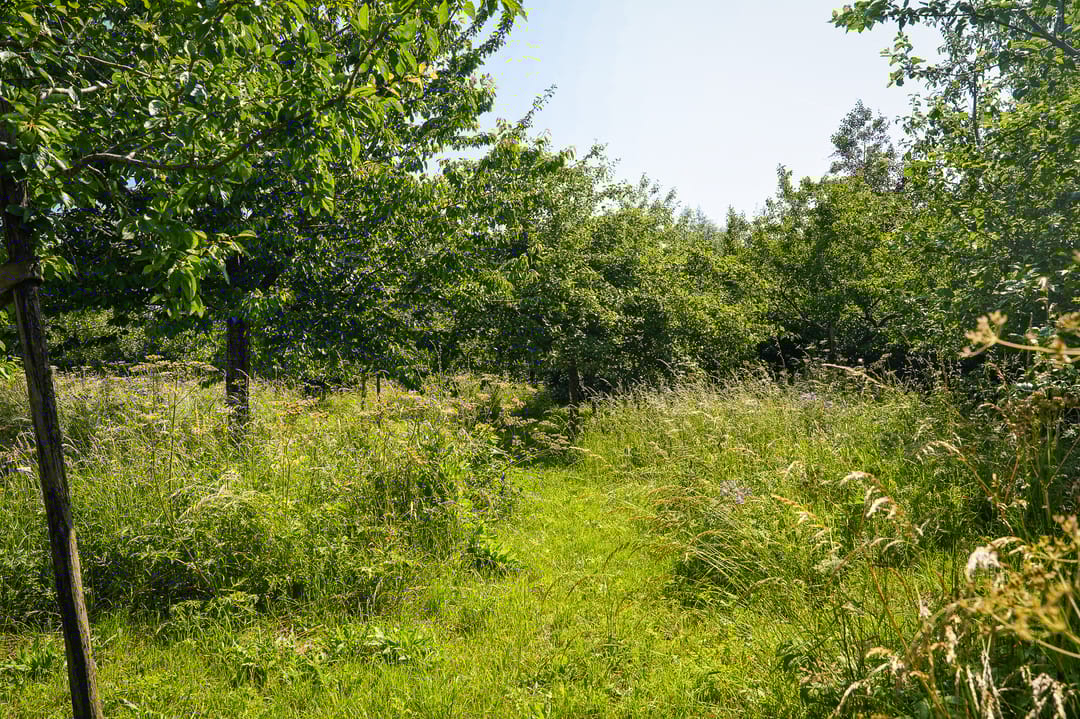 Foto 62 van Provincialeweg 28