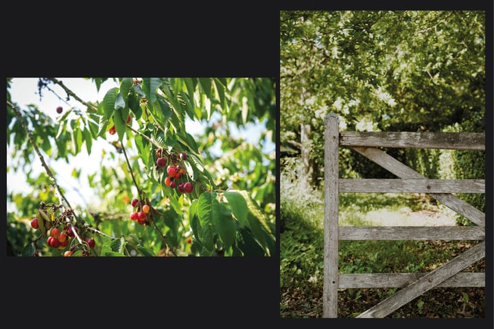 Foto 63 van Provincialeweg 28