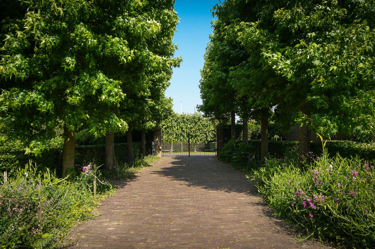 Foto 65 van Provincialeweg 28