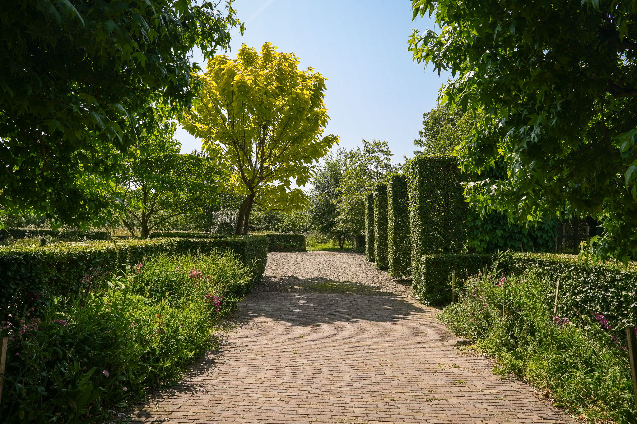 Foto 66 van Provincialeweg 28