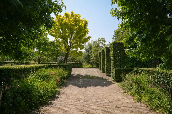 Foto 66 van Provincialeweg 28