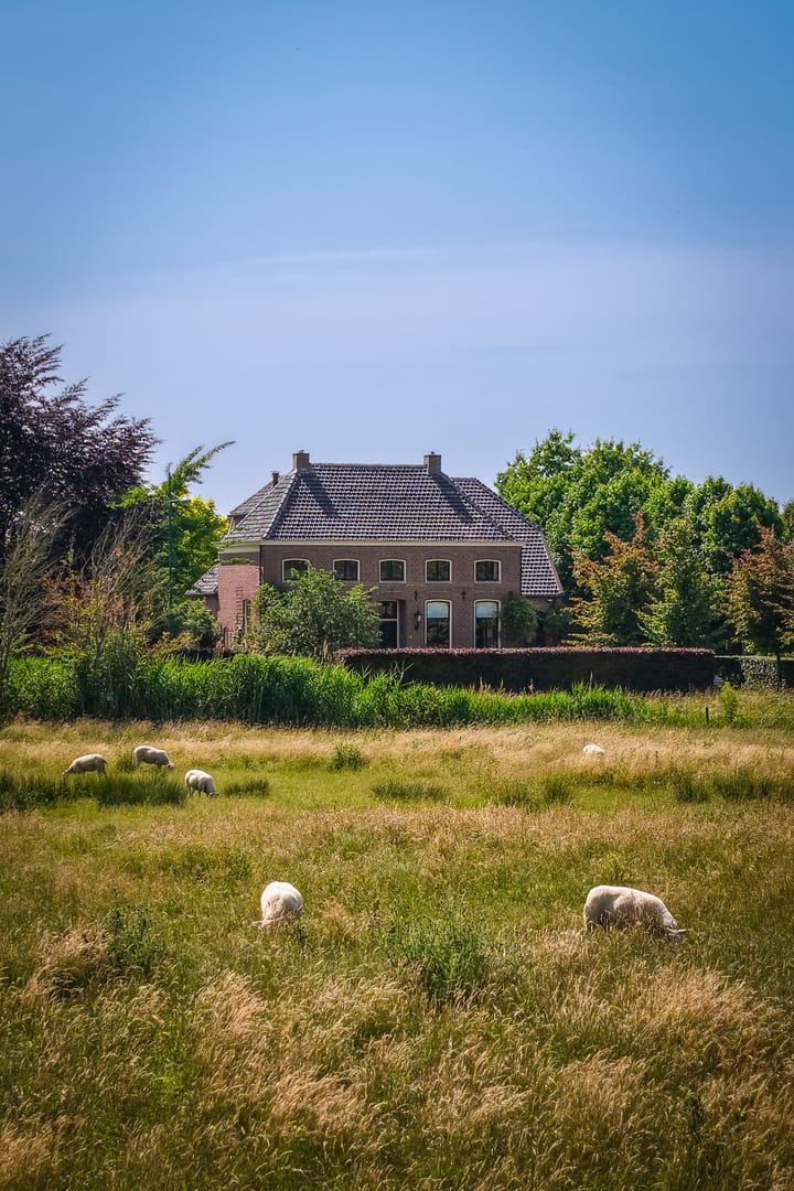 Foto 84 van Provincialeweg 28