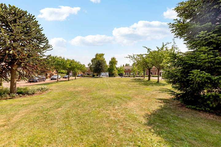 Foto 2 van Prunuspark 8