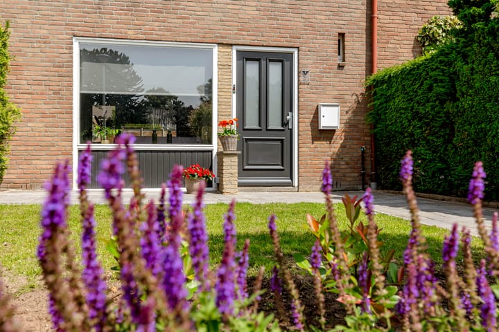 Foto 5 van Prunuspark 8