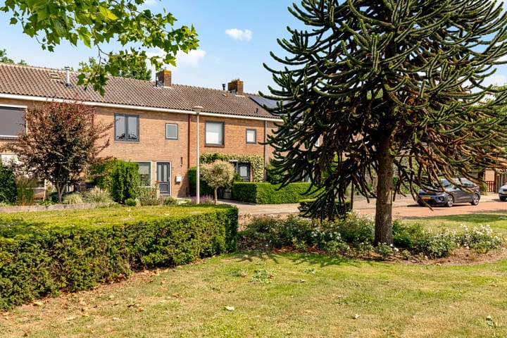 Foto 35 van Prunuspark 8