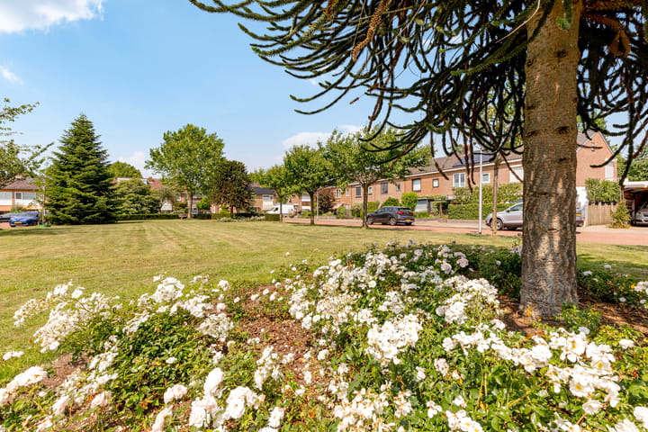 Foto 38 van Prunuspark 8