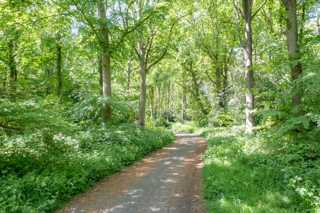 Photo 31 of Het Bosmeer 2