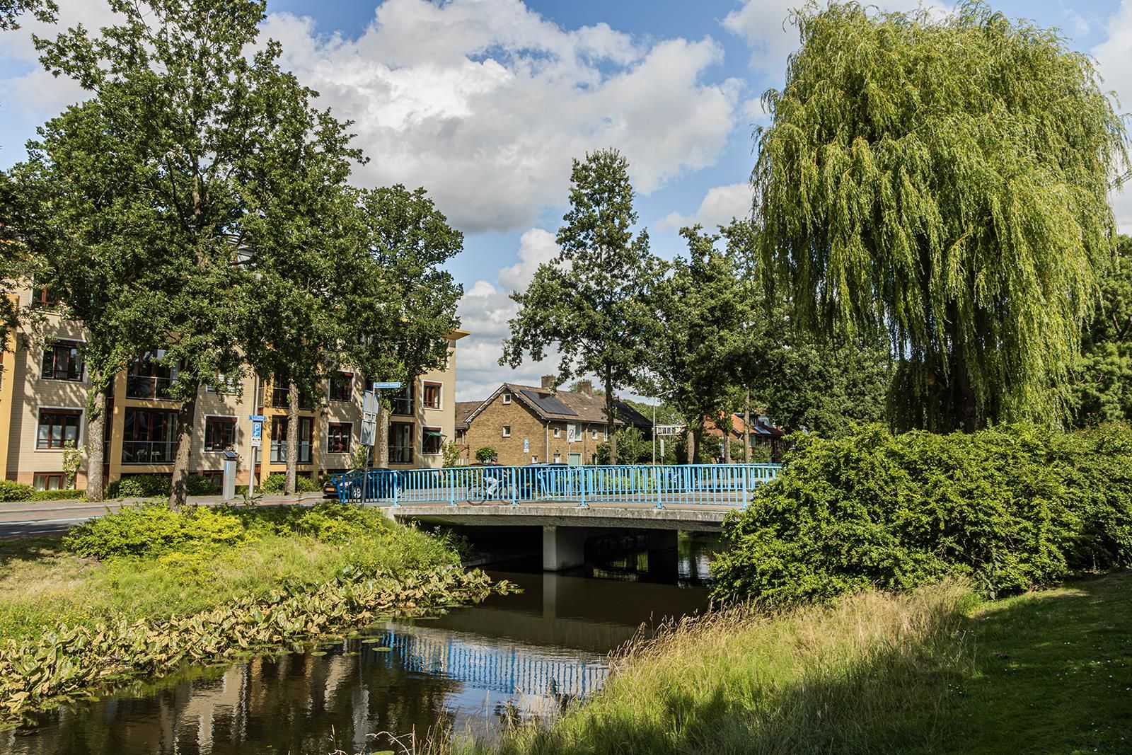 Photo 27 of Adriaen van Ostadelaan 7