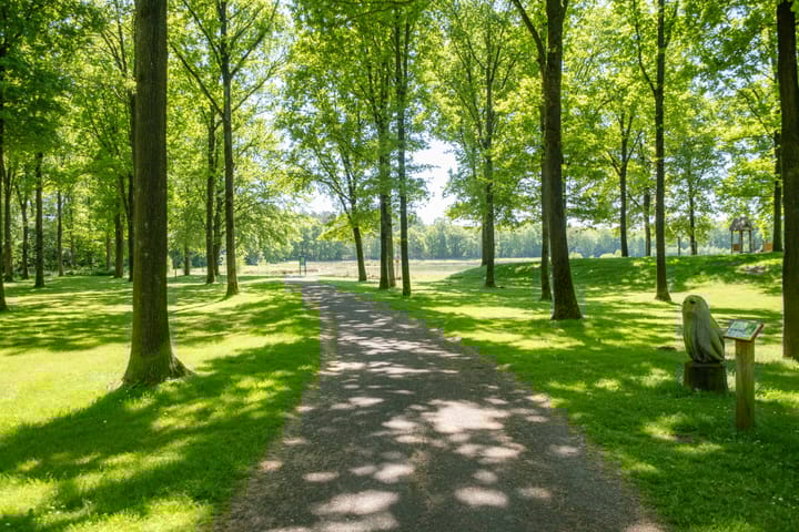 Photo 32 of Het Bosmeer 5