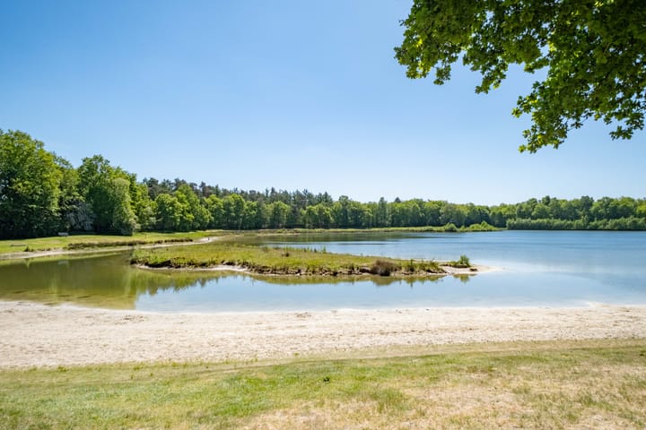 Photo 35 of Het Bosmeer 5