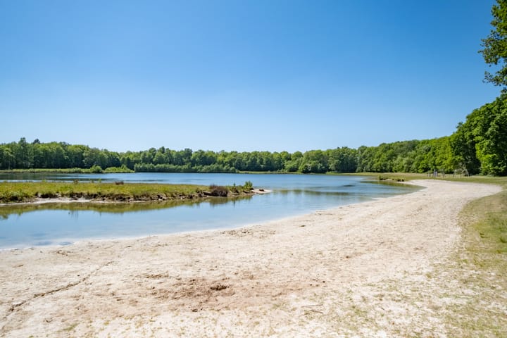 Photo 40 of Het Bosmeer 30