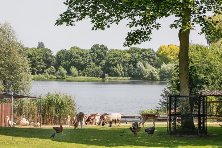 Foto 28 van Pelssingel 32