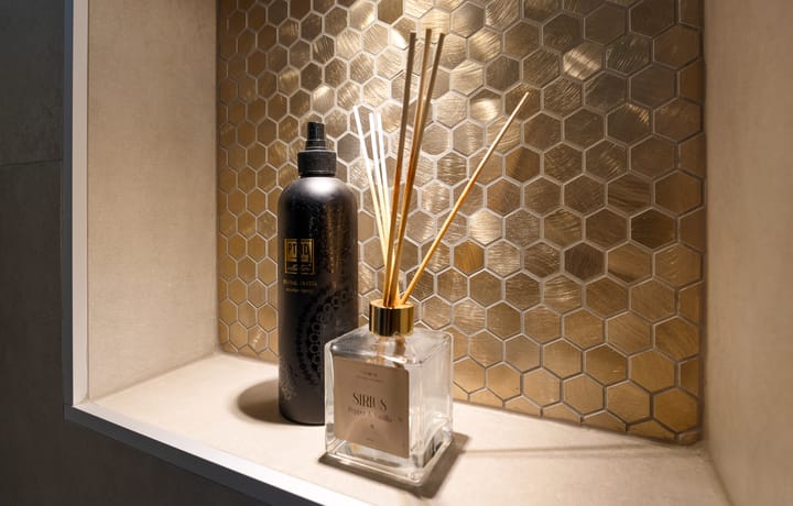 Foto 22 van Zilverschoonlaan 269