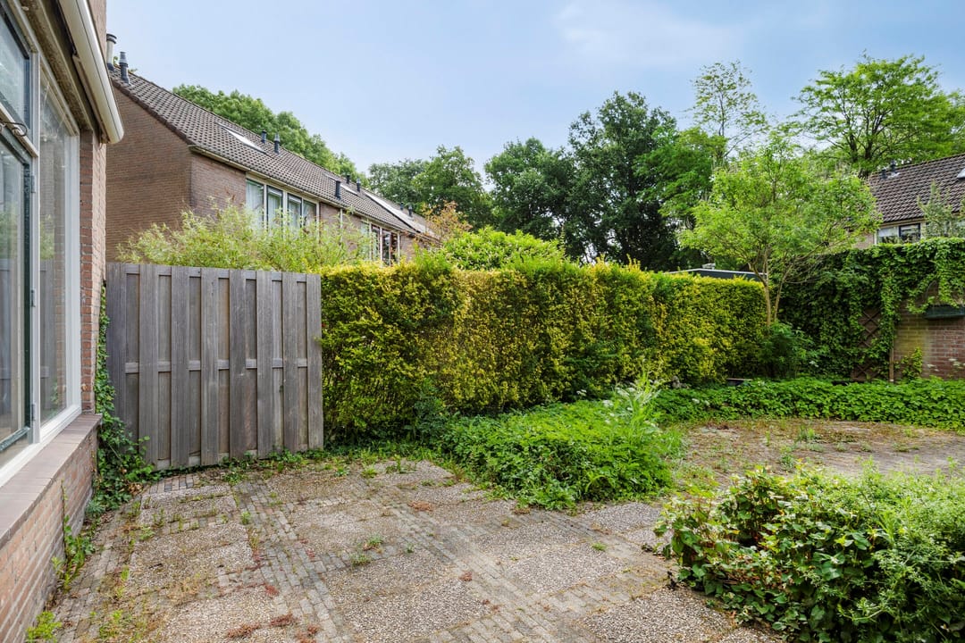 Photo 32 of Nijenrode 7