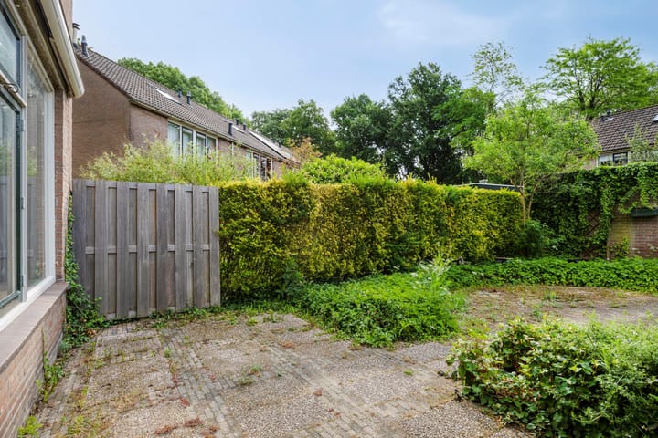 Photo 32 of Nijenrode 7