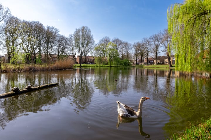 Foto 76 van Dr. H.P. Heinekenstraat 2