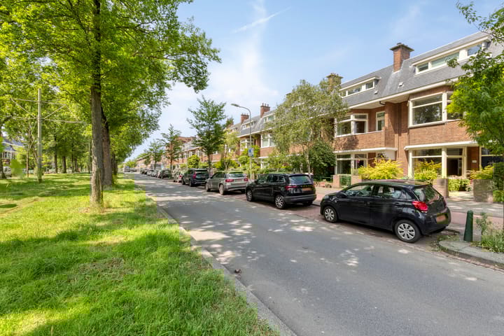 Foto 3 van Laan van Meerdervoort 647