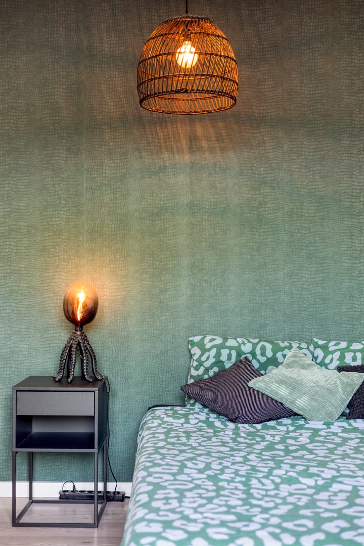 Foto 30 van Mr. Troelstrastraat 31