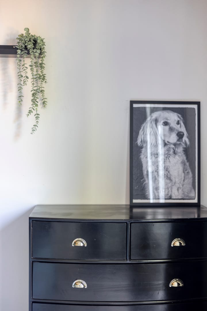 Foto 31 van Mr. Troelstrastraat 31