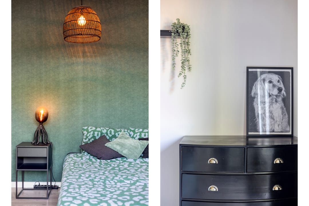 Foto 32 van Mr. Troelstrastraat 31