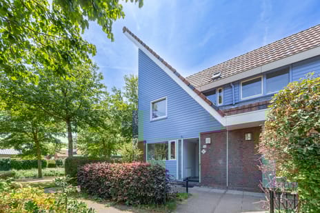 undefined main image