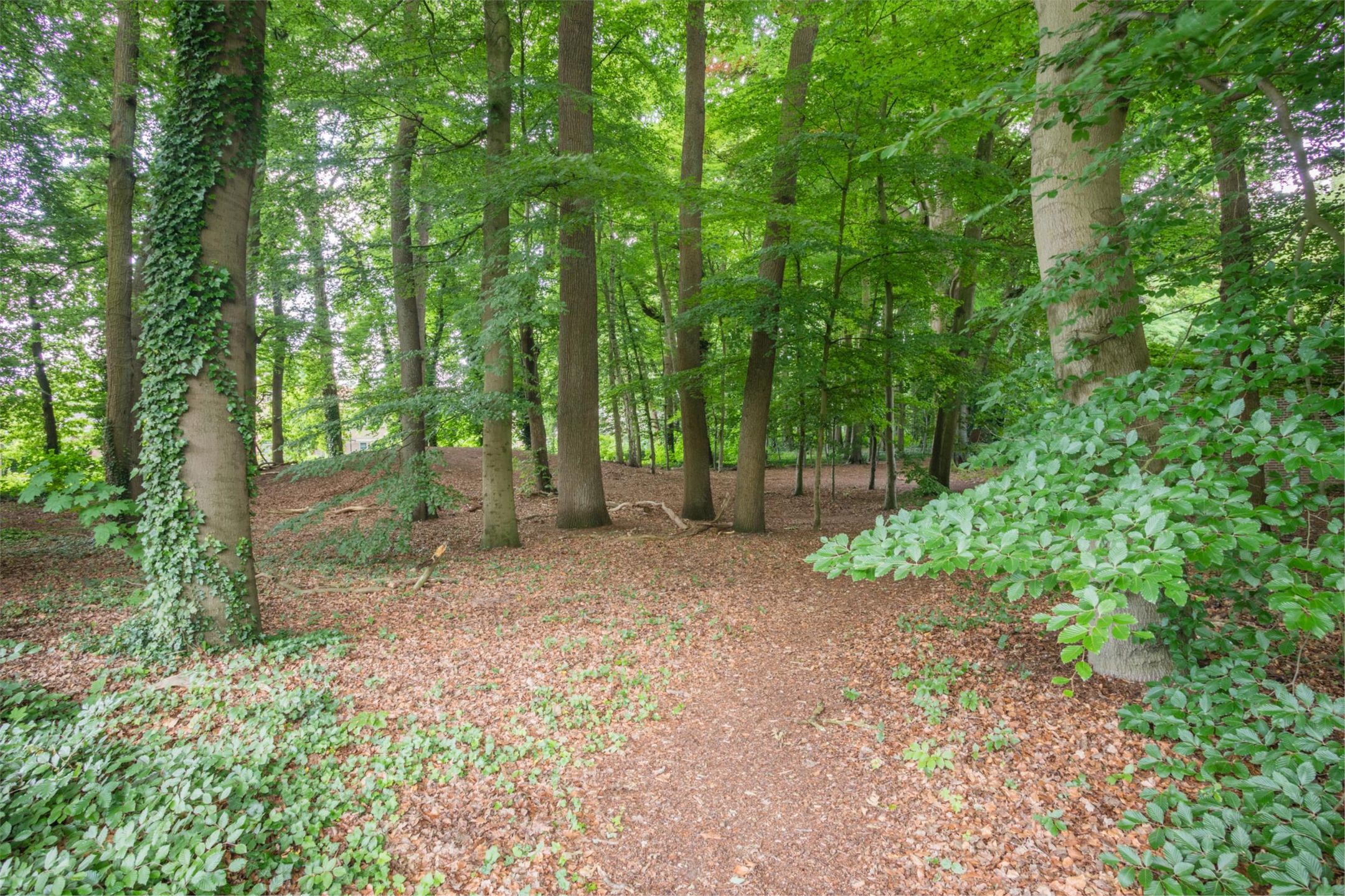 Foto 39 van Alexanderlaan 16