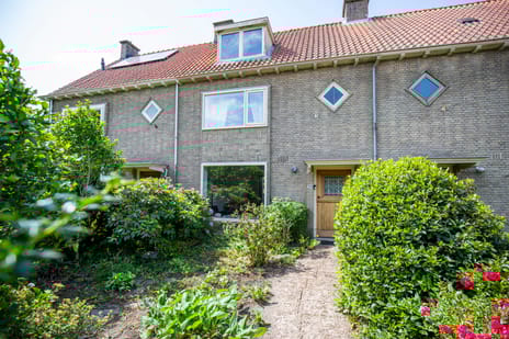 undefined main image