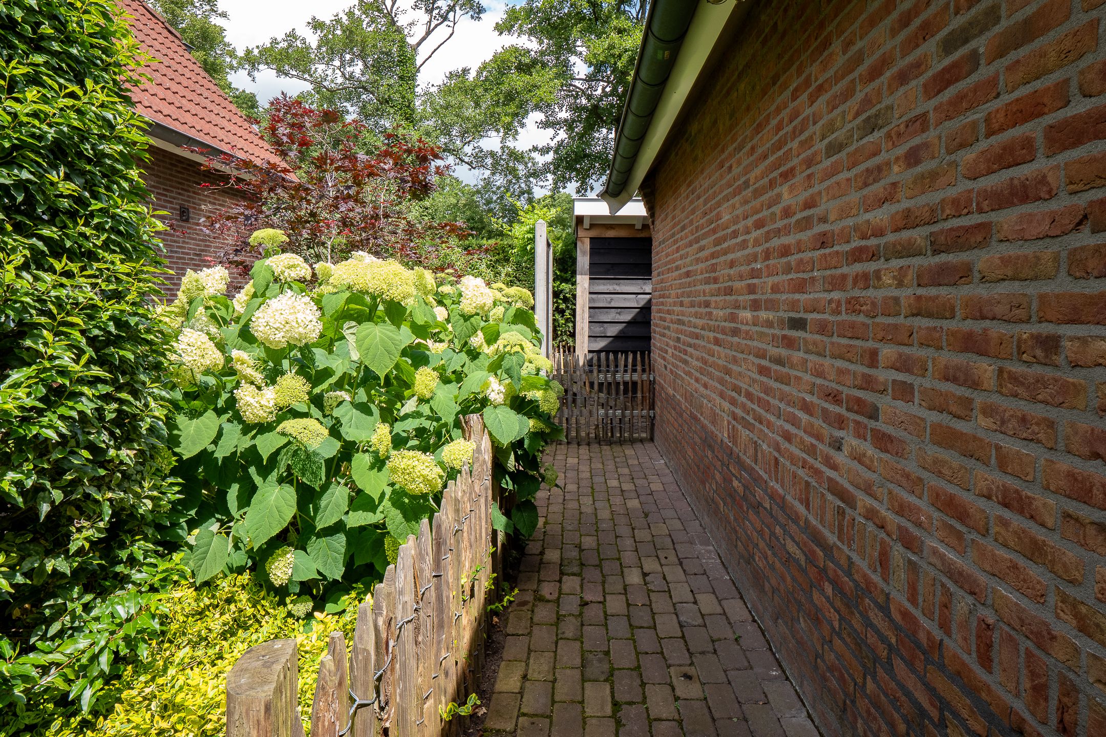 Foto 42 van Veldmanserve 35