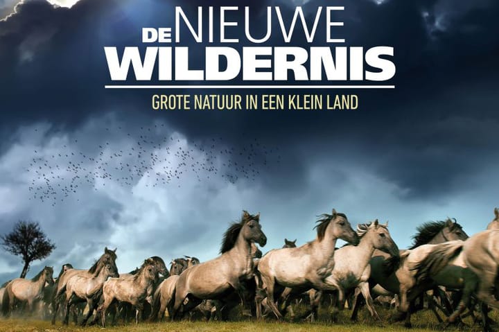 Foto 45 van Juwelenhof 5