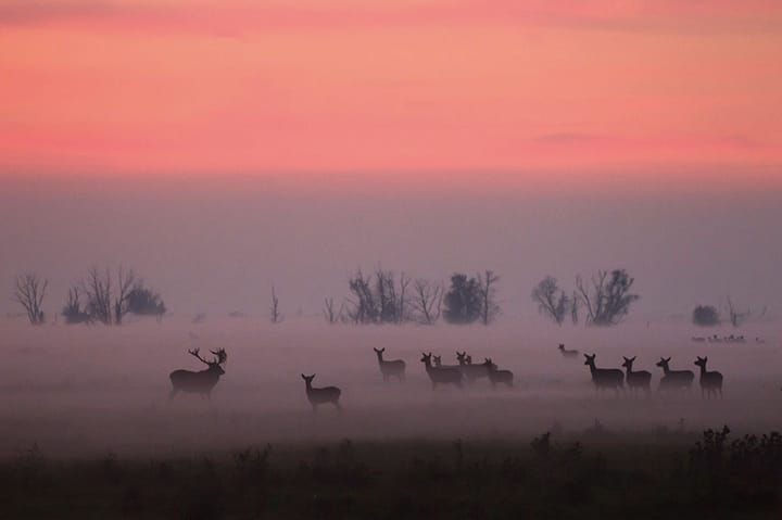 Foto 47 van Juwelenhof 5