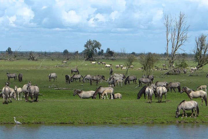 Foto 49 van Juwelenhof 5