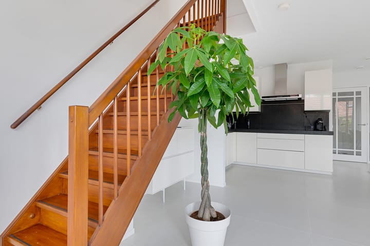 Foto 19 van Kloostertuin 60