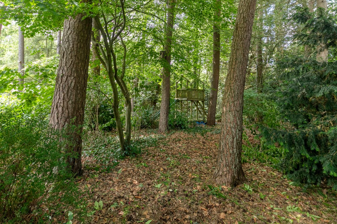 Foto 43 van Foekenlaan 22