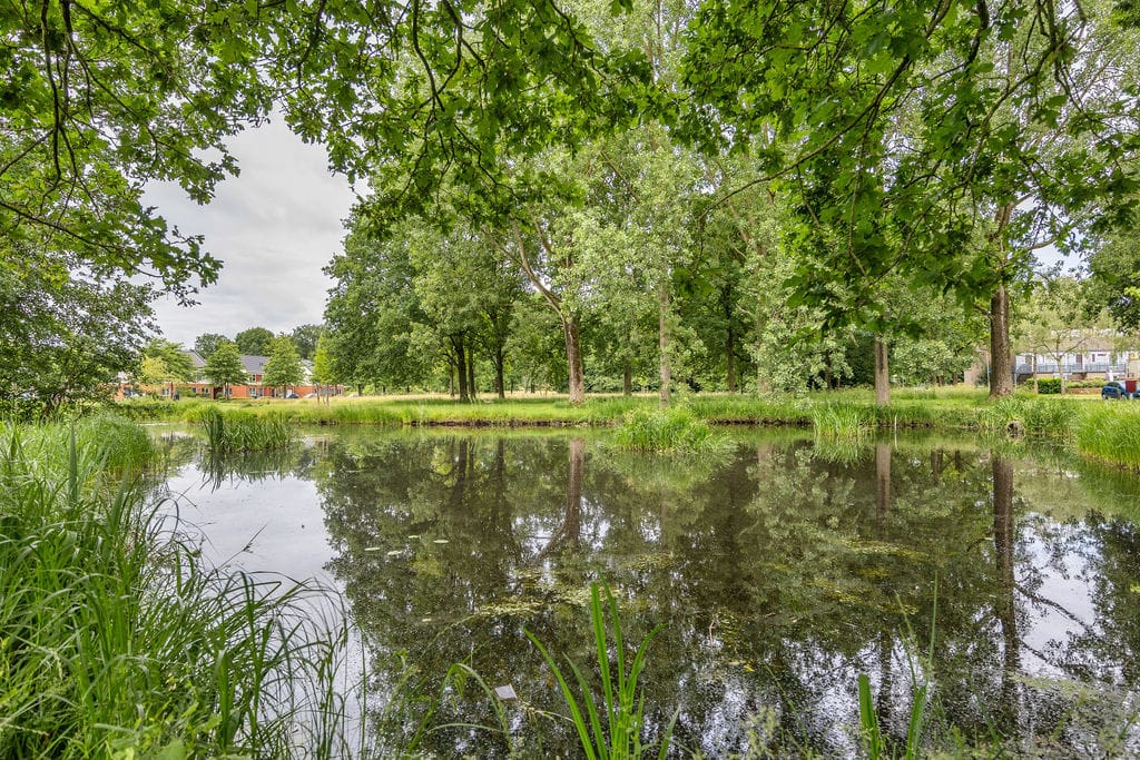 Foto 34 van Wabbe Wissesstrjitte 2