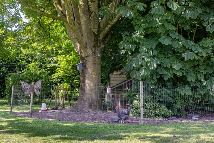 Photo 37 of Doornenburgsestraat 25