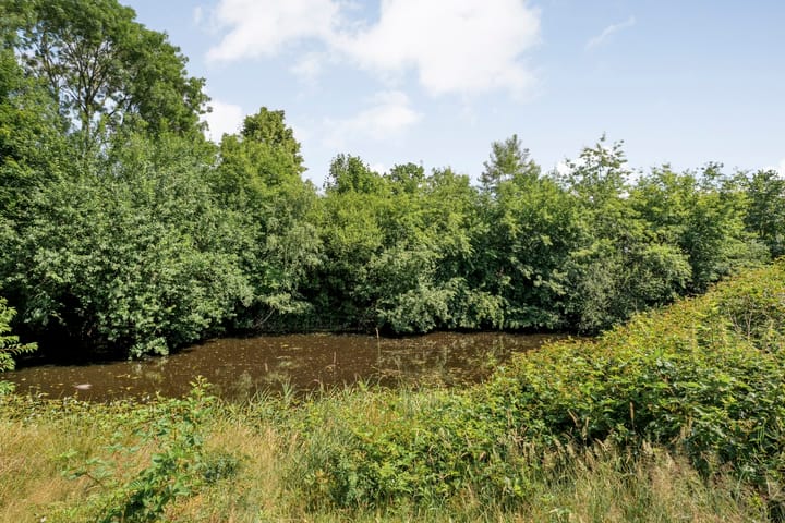 Foto 40 van Goudvinkstraat 18