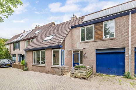 Steenuilstraat thumbnail