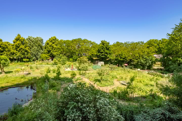 Foto 24 van Cervanteslaan 13